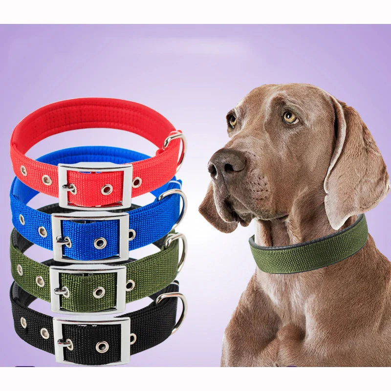 WoofHaven blue nylon dog collar adjustable all sizes