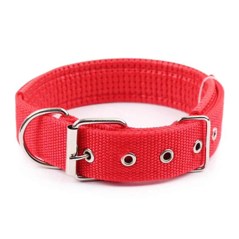 WoofHaven solid nylon collar for dogs all breeds all seasons